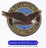 pratt_whitney_LOGO.jpg